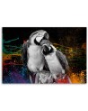 Colourful parrots abstract canvas wall art decoration | FEEBY