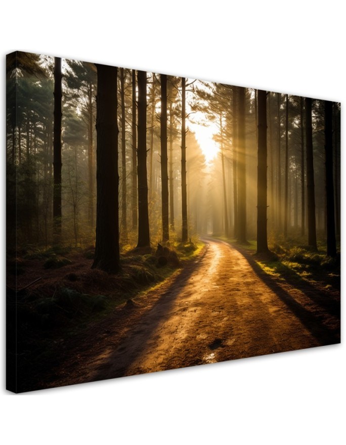 Wall painting for living room - Forest nature sunrise