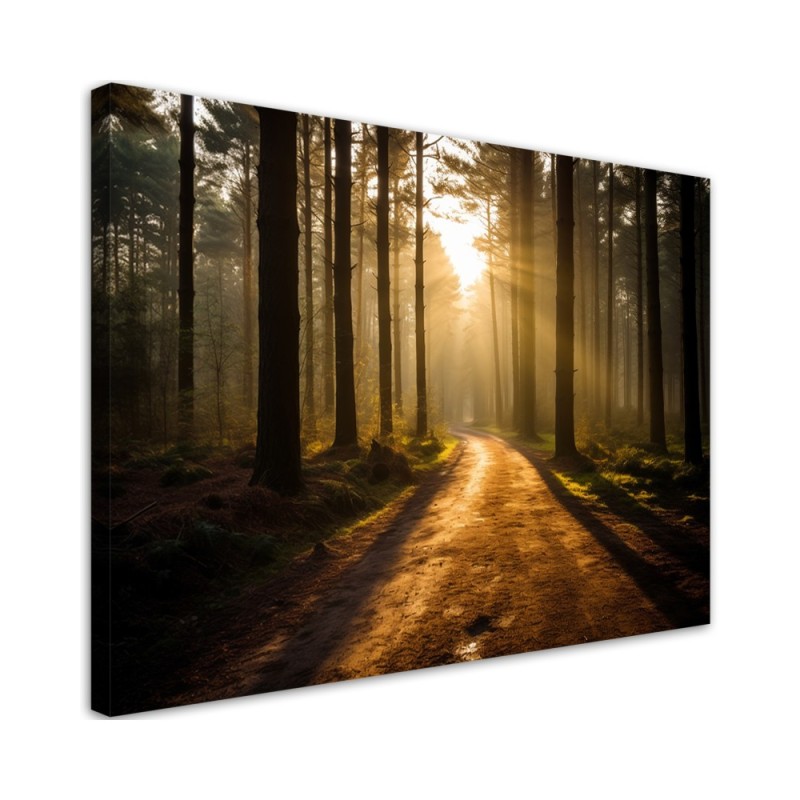 Wall painting for living room - Forest nature sunrise