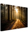 Wall painting for living room - Forest nature sunrise