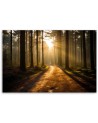 Wall painting for living room - Forest nature sunrise