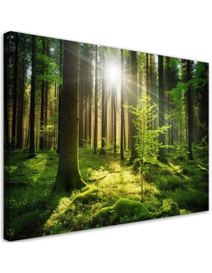 Wall painting for living room - Forest Trees Nature