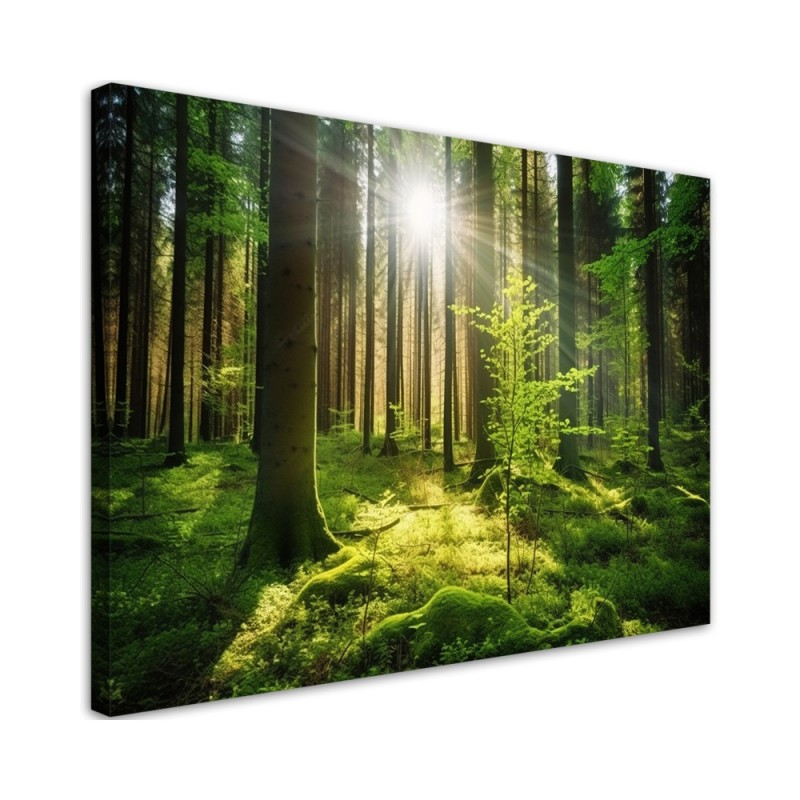 Wall painting for living room - Forest Trees Nature