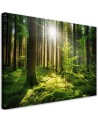 Wall painting for living room - Forest Trees Nature