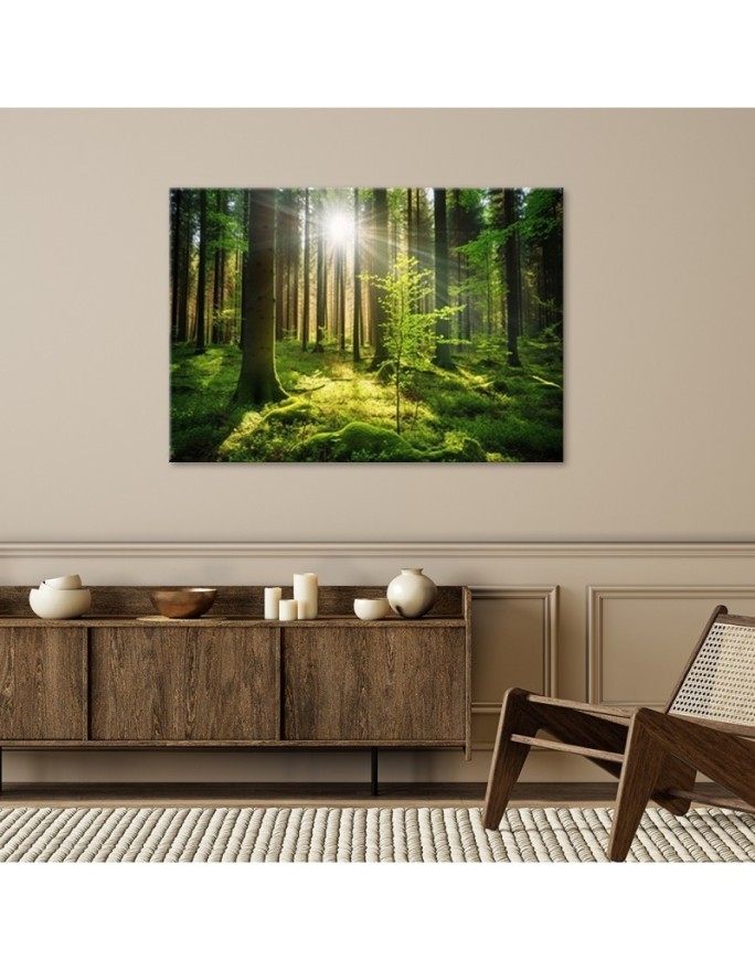 Wall painting for living room - Forest Trees Nature