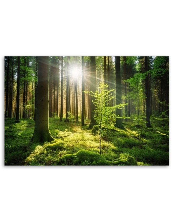 Wall painting for living room - Forest Trees Nature