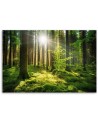 Wall painting for living room - Forest Trees Nature