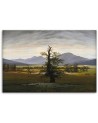 Canvas painting - Lonely tree | FEEBY