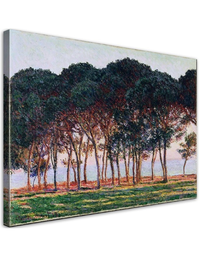 Canvas print reproduction - Under the pines | FEEBY