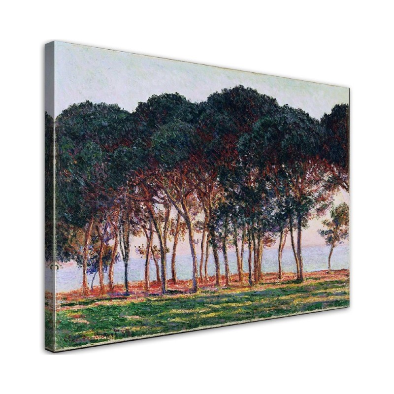 Canvas print reproduction - Under the pines | FEEBY