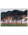 Canvas print reproduction - Under the pines | FEEBY