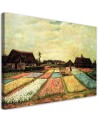 Canvas painting - Fields of flowers | FEEBY
