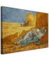 Canvas print reproduction - Siesta | FEEBY