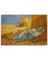 Canvas print reproduction - Siesta | FEEBY