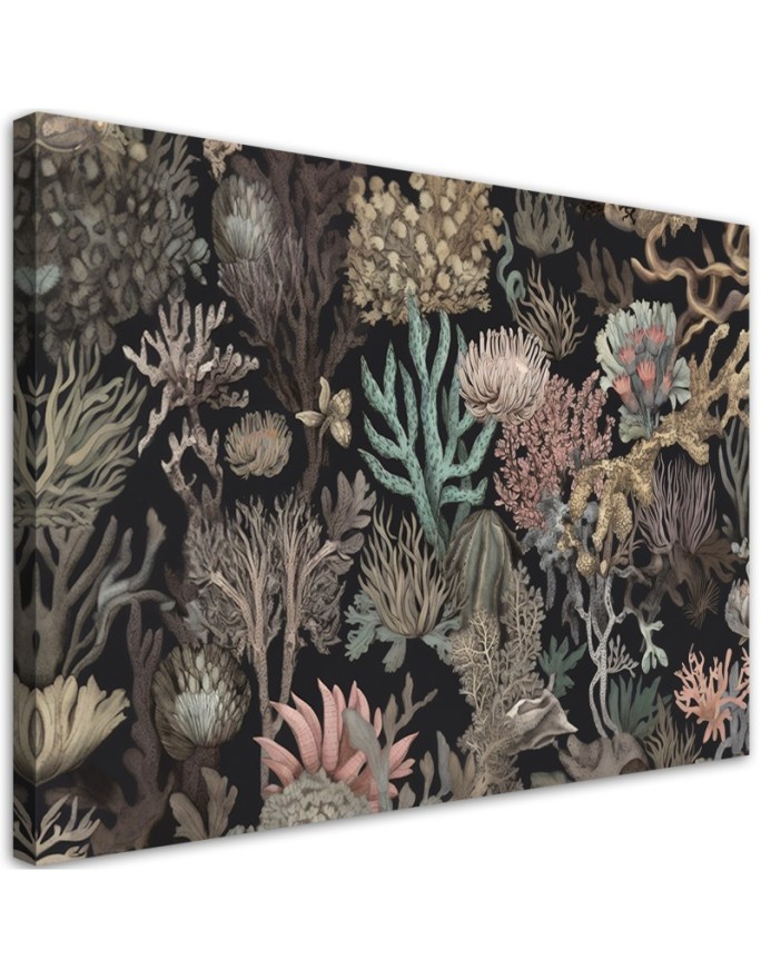 Canvas print for bathroom - Coral | FEEBY