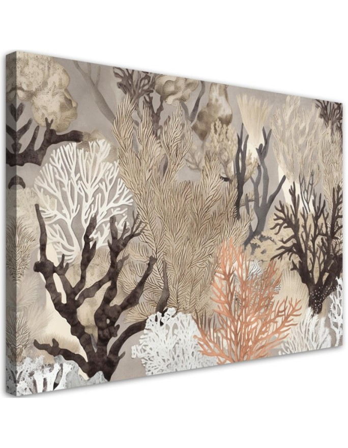 Canvas print Coral plants