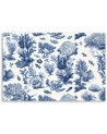 Canvas print for bathroom - Sea animals and plants | FEEBY
