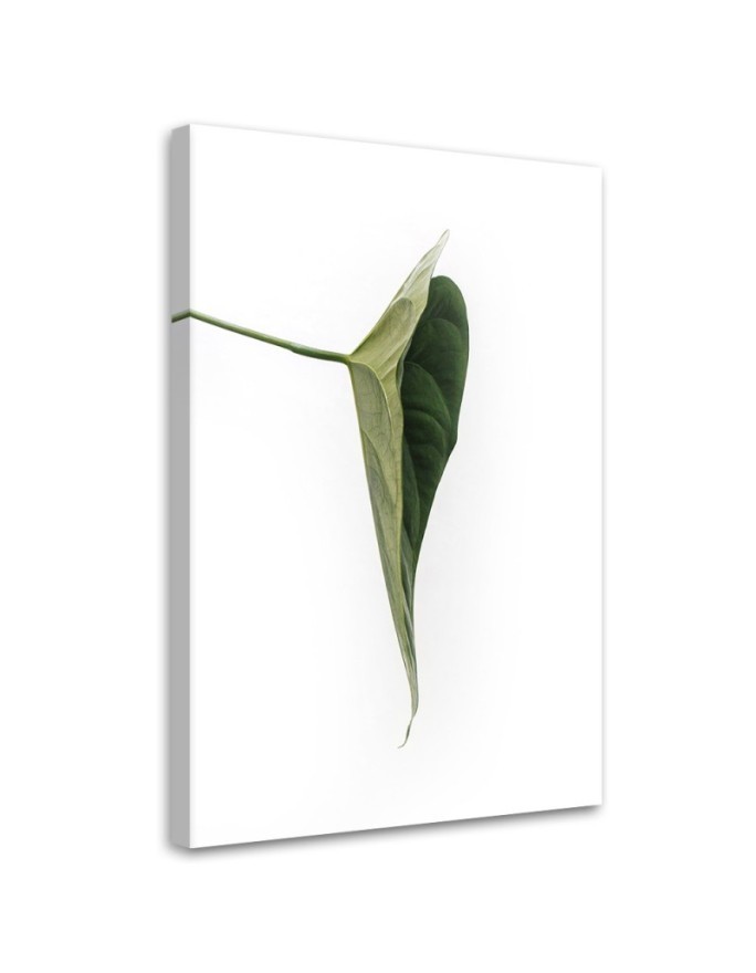 Canvas painting - Green leaf nature botany | FEEBY