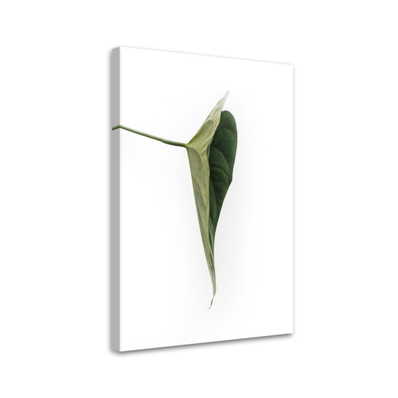 Canvas painting - Green leaf nature botany | FEEBY