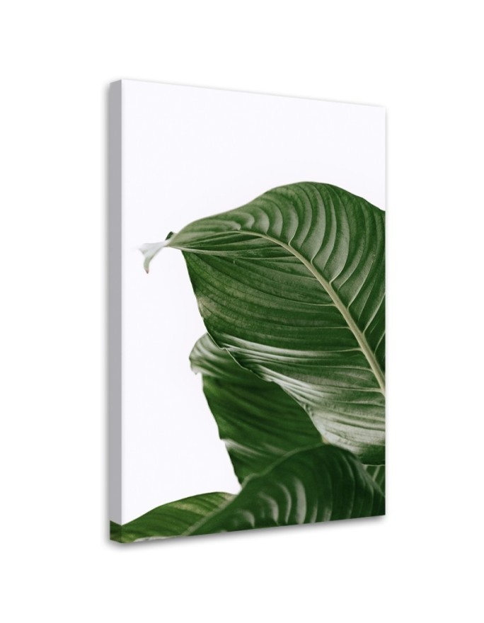 Canvas painting - Green leaf nature botany | FEEBY