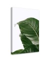 Canvas painting - Green leaf nature botany | FEEBY