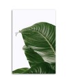 Canvas painting - Green leaf nature botany | FEEBY