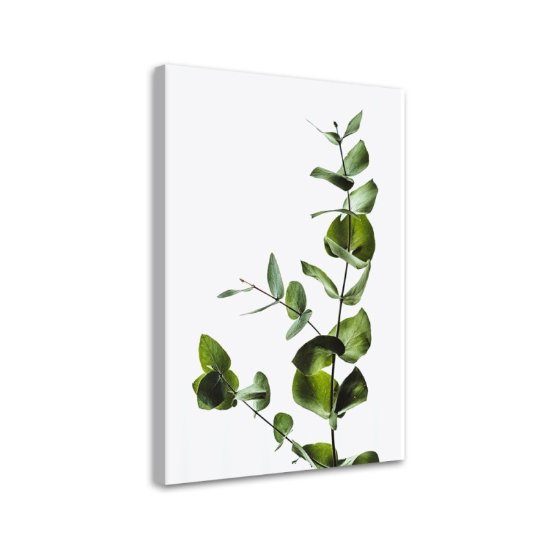 Canvas painting - Green twig nature | FEEBY
