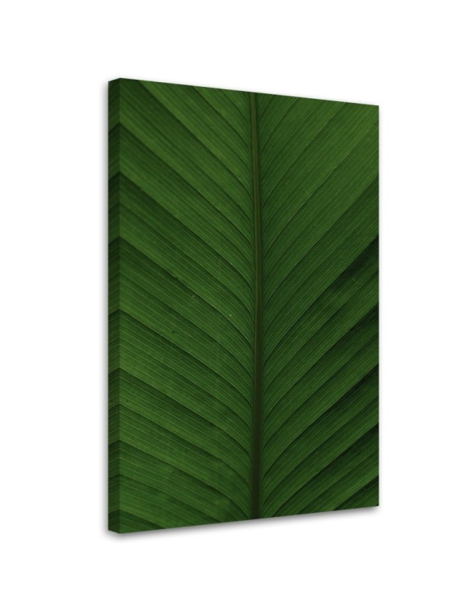 Canvas print Banana leaf macro