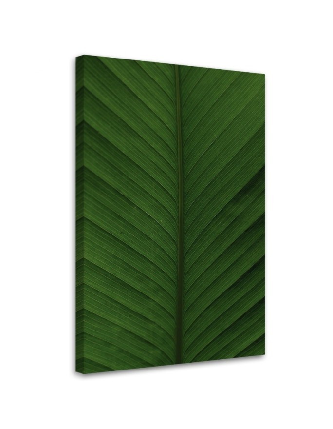 Canvas painting - Banana leaf macro | FEEBY