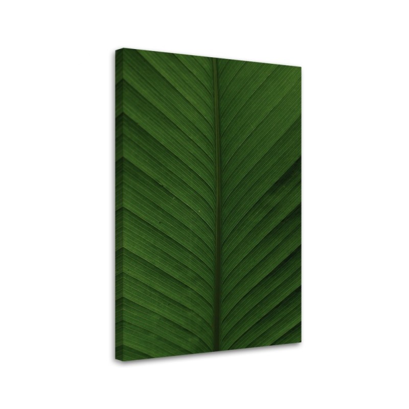 Canvas painting - Banana leaf macro | FEEBY