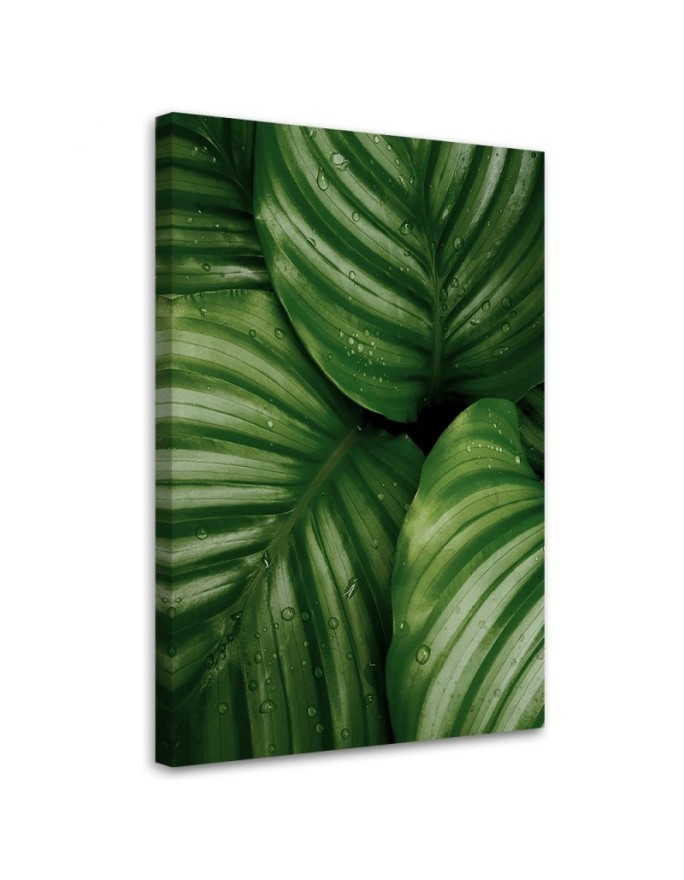 Canvas painting - Water droplets on a leaf | FEEBY