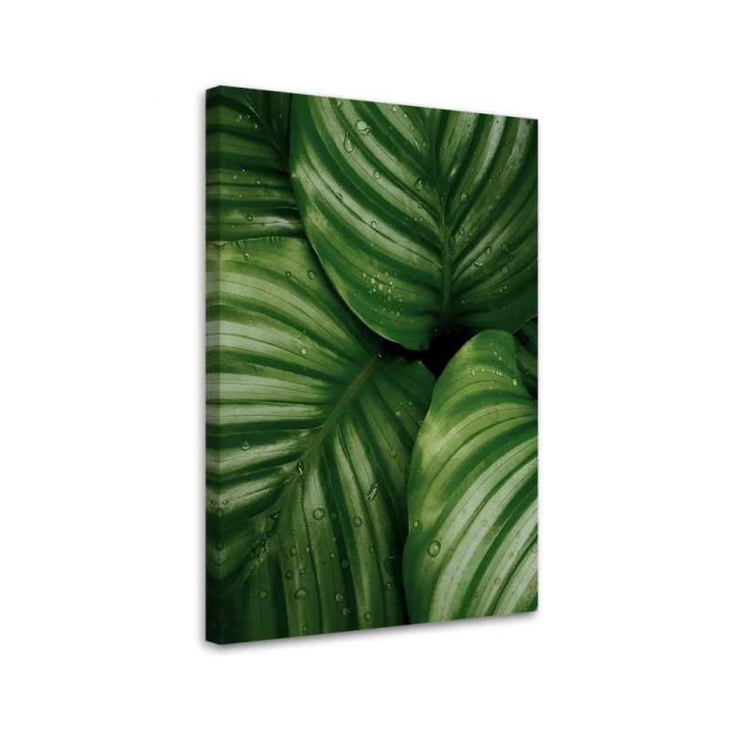 Canvas painting - Water droplets on a leaf | FEEBY