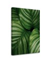 Canvas painting - Water droplets on a leaf | FEEBY