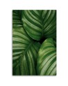 Canvas painting - Water droplets on a leaf | FEEBY