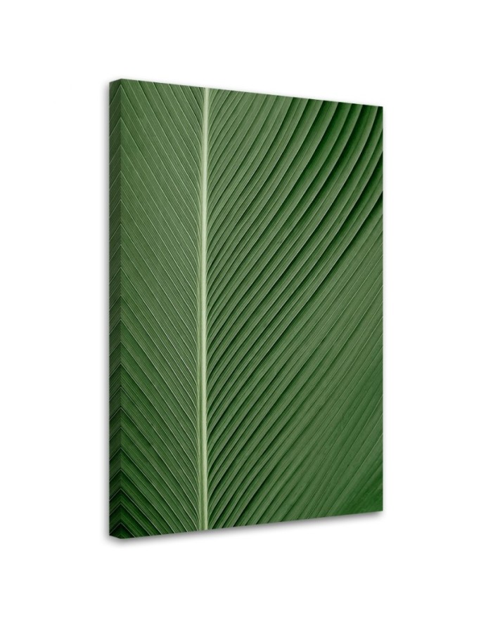 Canvas print Banana leaf macro