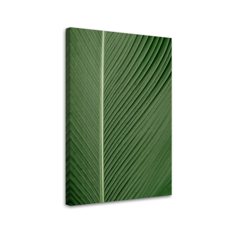 Canvas painting - Banana leaf on a macro scale | FEEBY