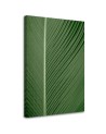 Canvas painting - Banana leaf on a macro scale | FEEBY