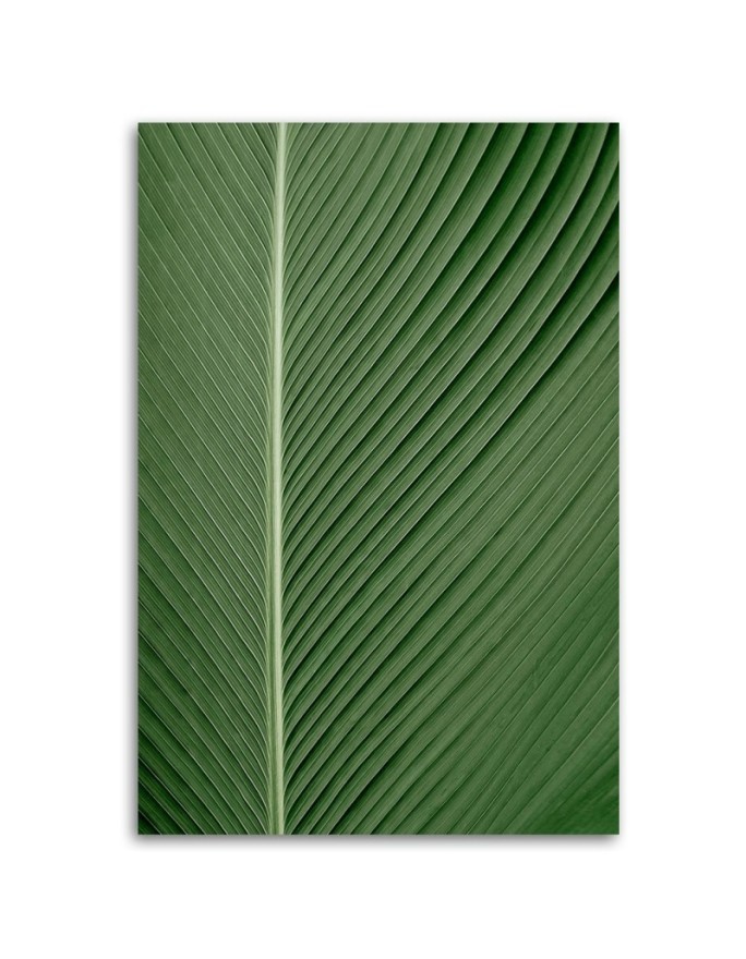Canvas painting - Banana leaf on a macro scale | FEEBY
