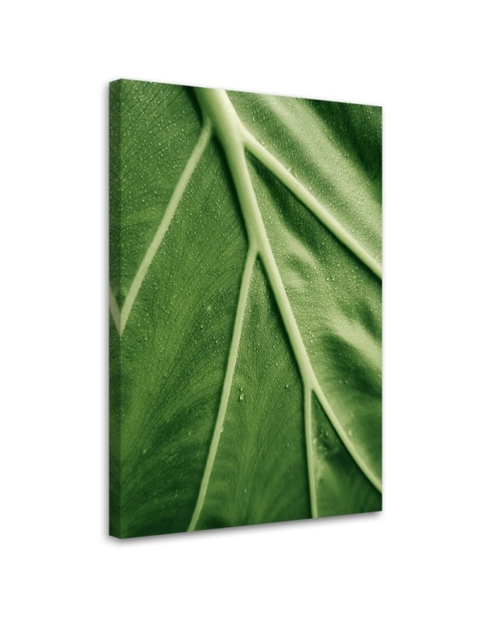 Canvas painting - Macro leaf dew | FEEBY