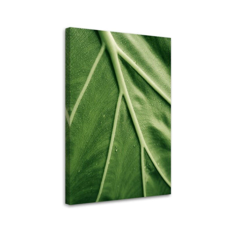Canvas painting - Macro leaf dew | FEEBY