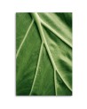 Canvas painting - Macro leaf dew | FEEBY