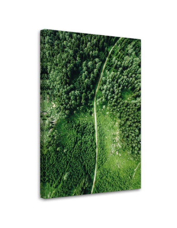 Canvas painting - Path through a green forest | FEEBY