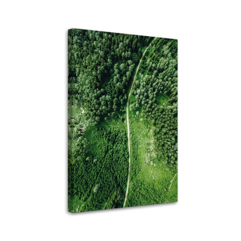 Canvas painting - Path through a green forest | FEEBY