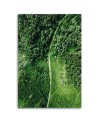 Canvas painting - Path through a green forest | FEEBY