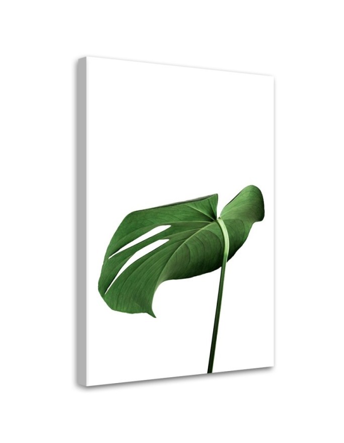 Canvas painting - Monstera leaf plant | FEEBY