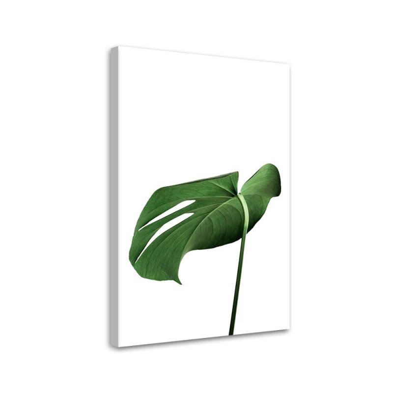 Canvas painting - Monstera leaf plant | FEEBY