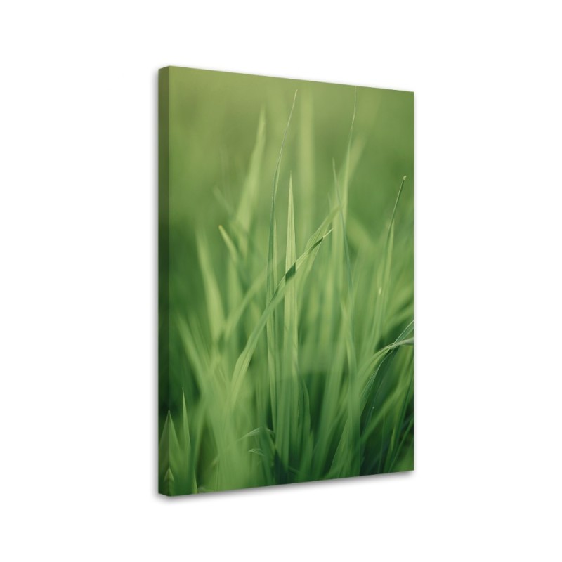Canvas painting - Grass stem | FEEBY
