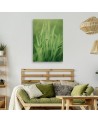 Canvas painting - Grass stem | FEEBY