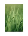 Canvas painting - Grass stem | FEEBY