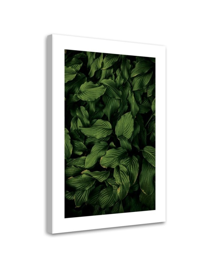 Canvas painting - Dark green leaves | FEEBY